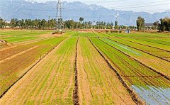 管式土壤墑情監(jiān)測儀對土壤進(jìn)行快速、準(zhǔn)確、全面地觀測