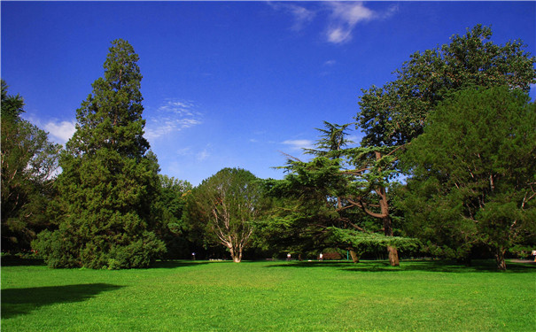 空氣負(fù)氧離子監(jiān)測系統(tǒng)